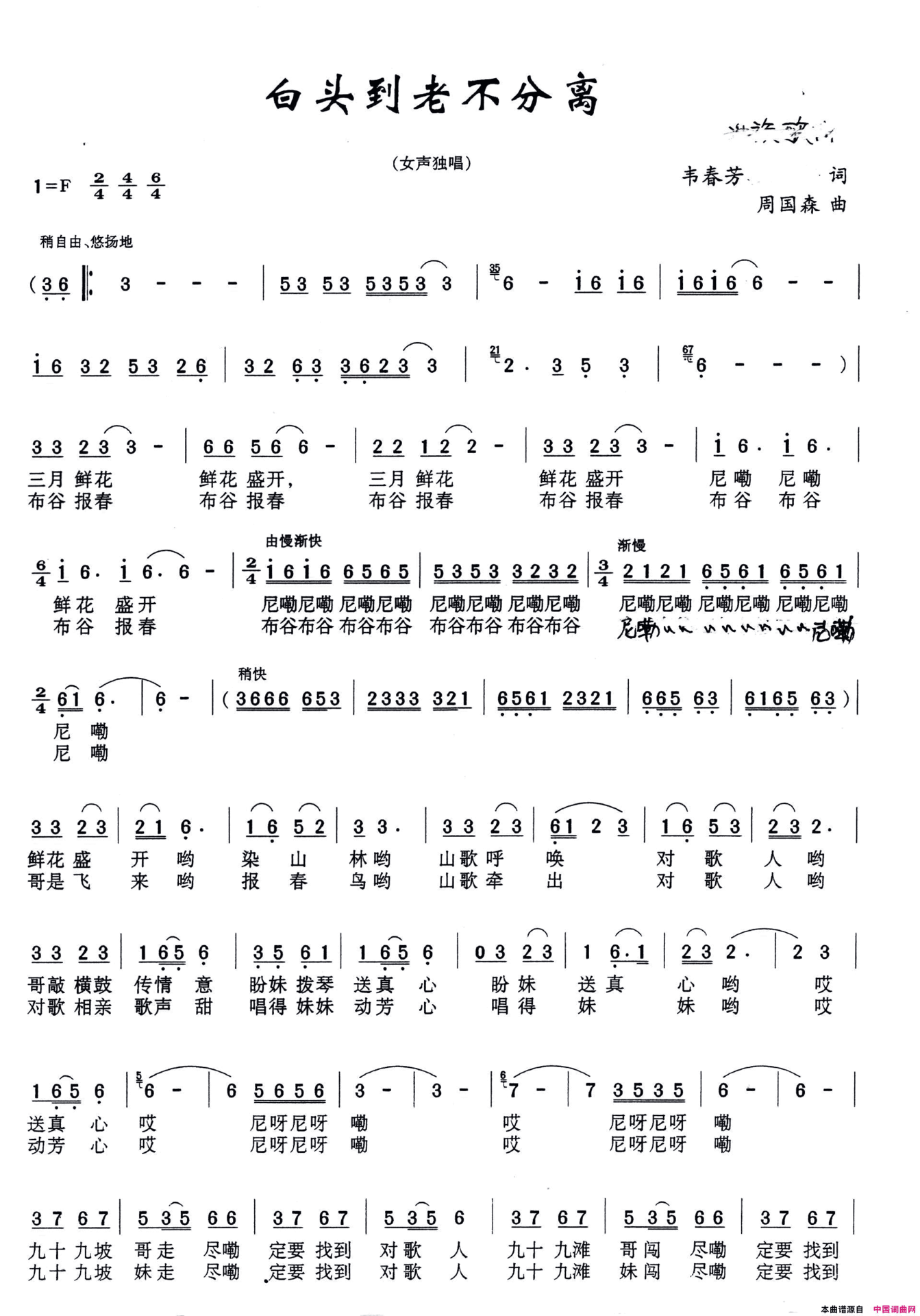 白头到老不分离简谱