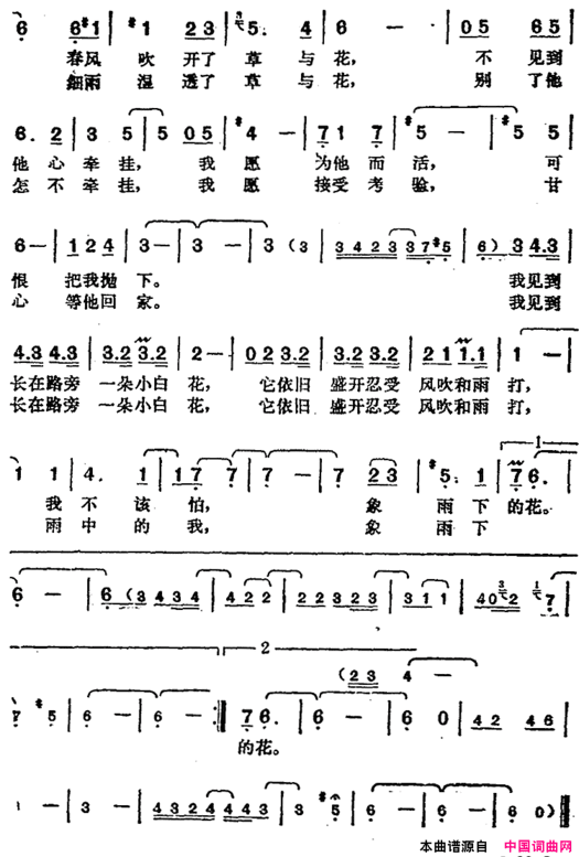 邓丽君演唱金曲：雨下的花朵简谱