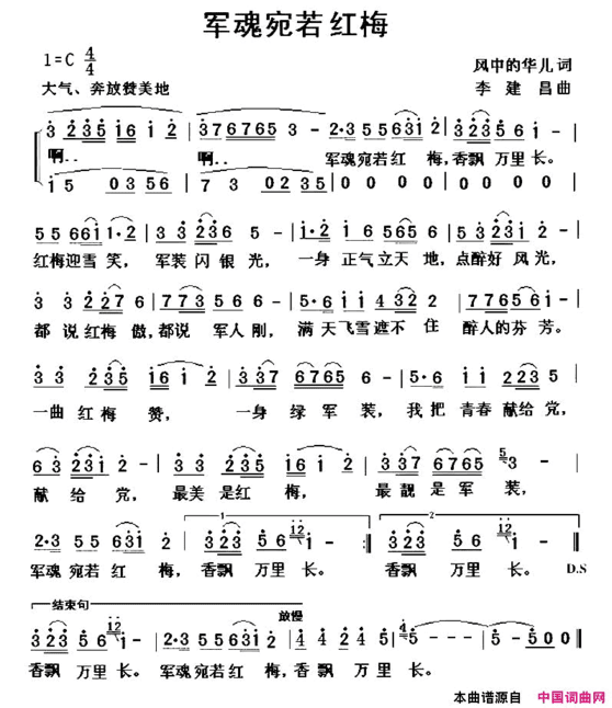 军魂宛若红梅简谱