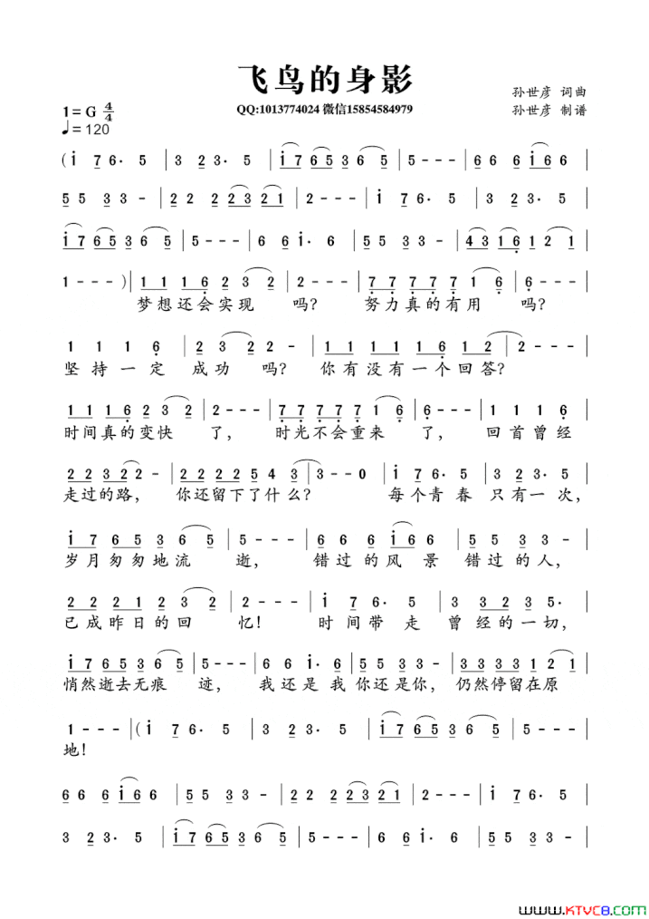 飞鸟的身影简谱