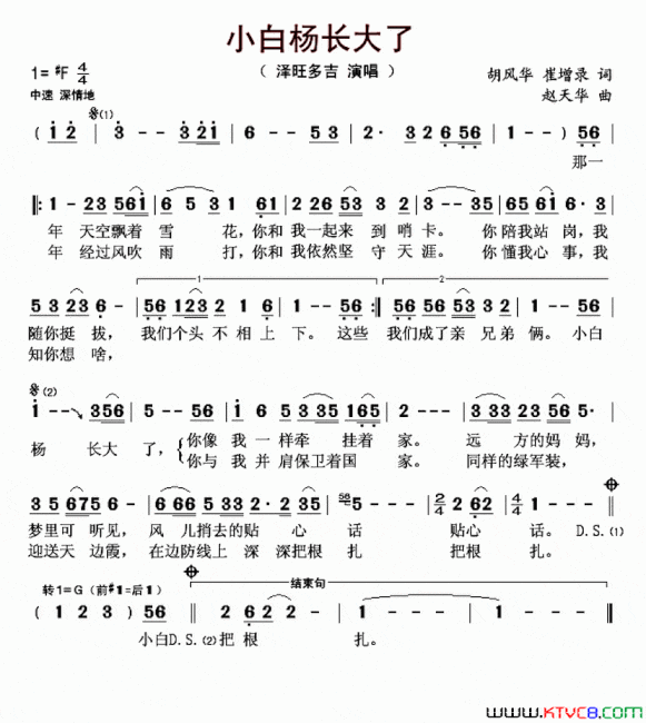 小白杨长大了简谱