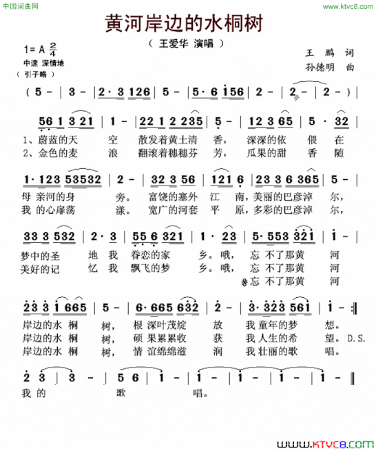 黄河岸边的水桐树简谱