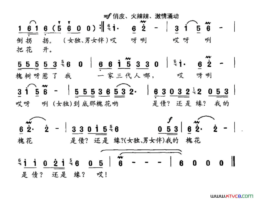 槐花开简谱