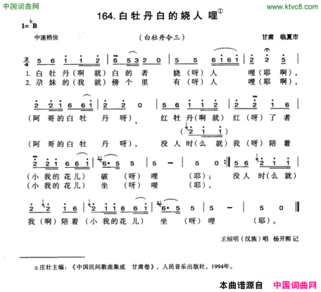 白牡丹白的娆人哩简谱