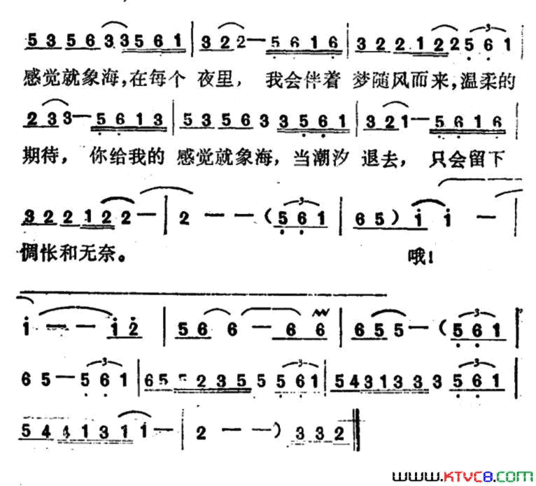 温柔的期待简谱