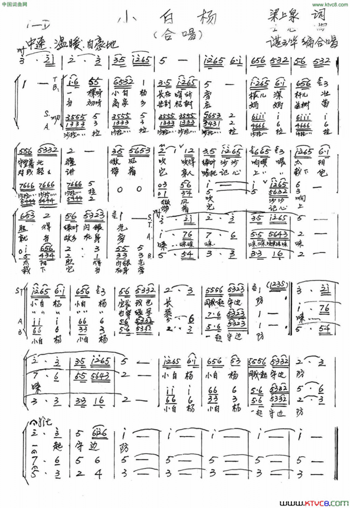 小白杨谌云华编合唱简谱