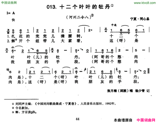 十二个叶叶的牡丹简谱