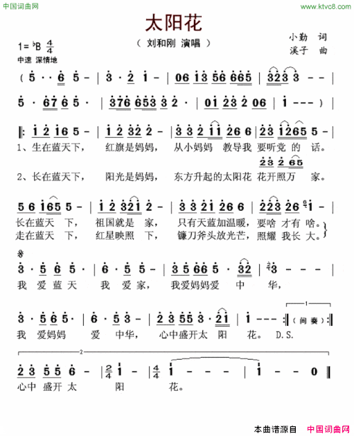 太阳花小勤词溪子曲太阳花小勤词 溪子曲简谱