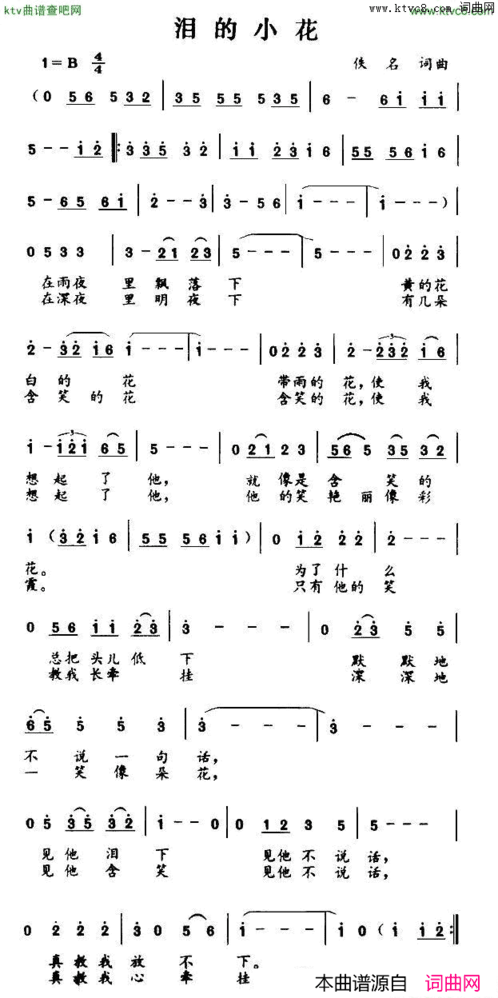 泪的小花简谱