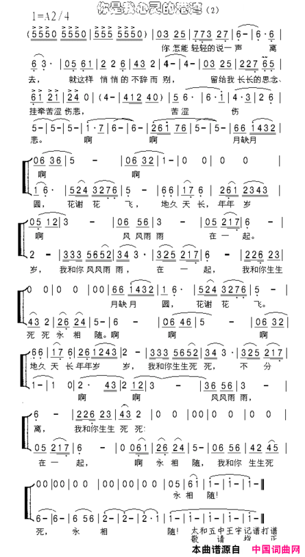 你是我心灵的港湾简谱2简谱