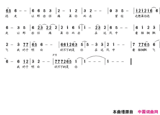 放不下的是你简谱