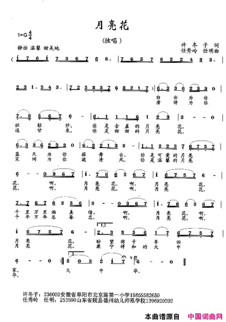 月亮花许冬子词任秀岭曲简谱