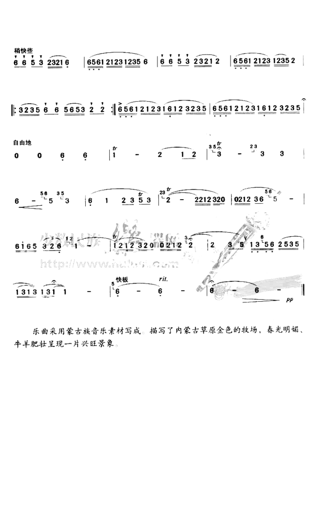 金色的牧场简谱