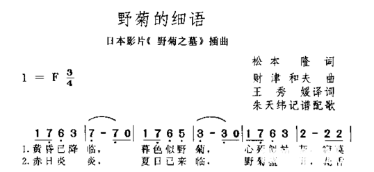 野菊的细语简谱