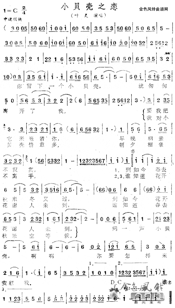 小贝壳之恋简谱