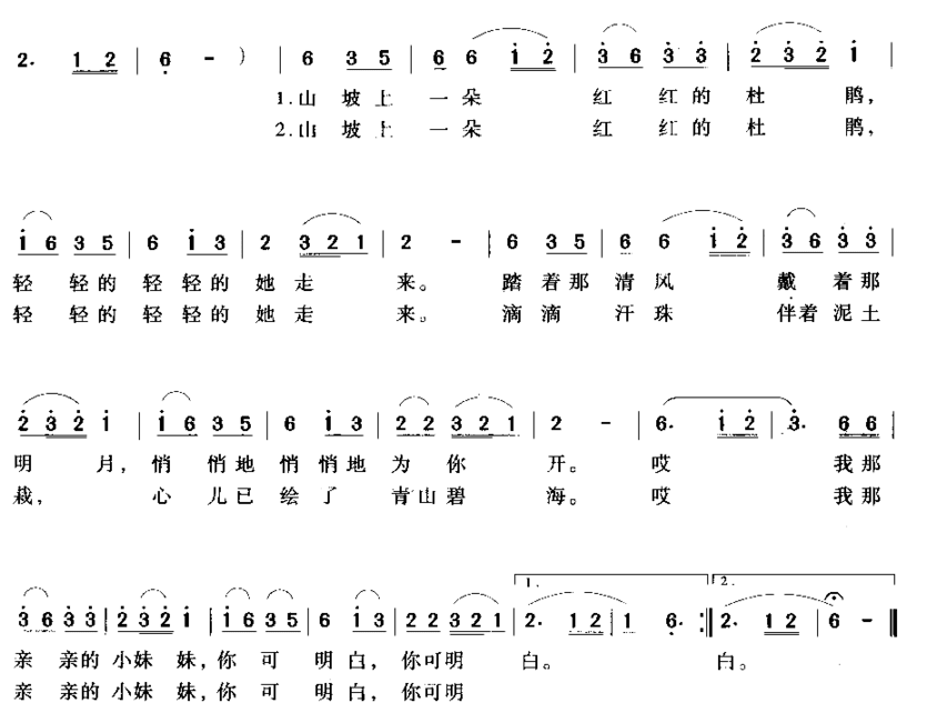 山坡上一朵红杜鹃简谱