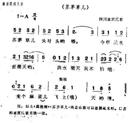 载泡桐简谱