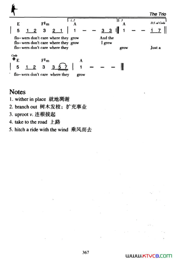 Wildflowers野花简谱