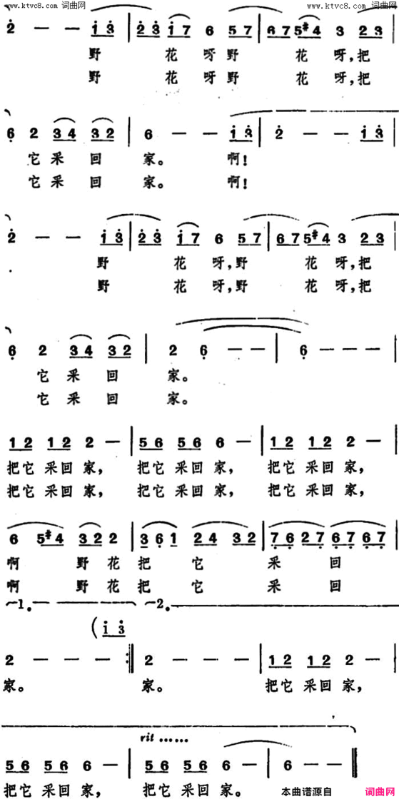 啊野花，野花电影《扬帆》插曲简谱