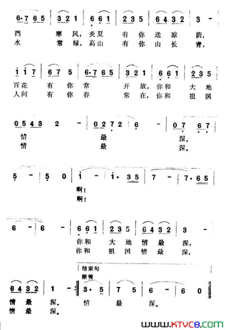 森林小区简谱