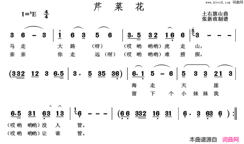 芹菜花简谱