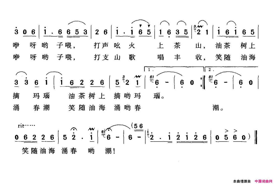 油茶熟了简谱