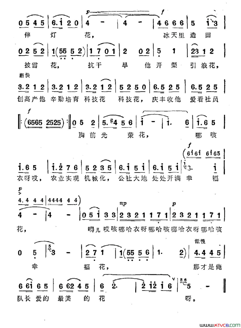 队长爱花简谱