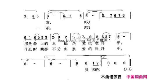 牡丹汗简谱