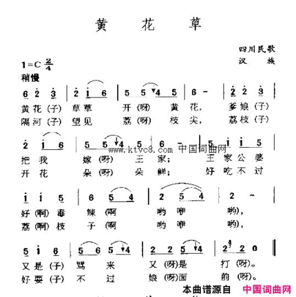 黄花草简谱