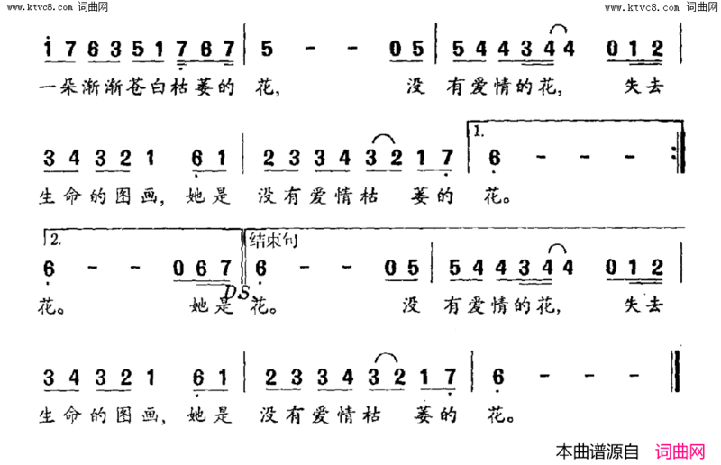 雏菊花简谱