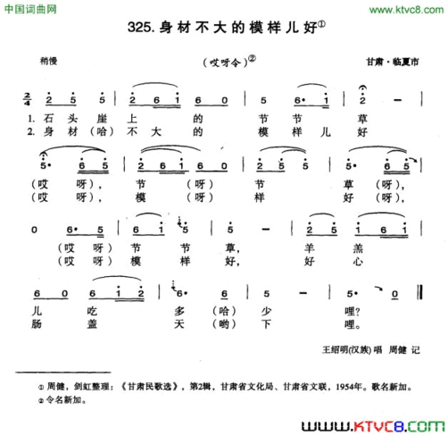 身材不大的模样儿好简谱