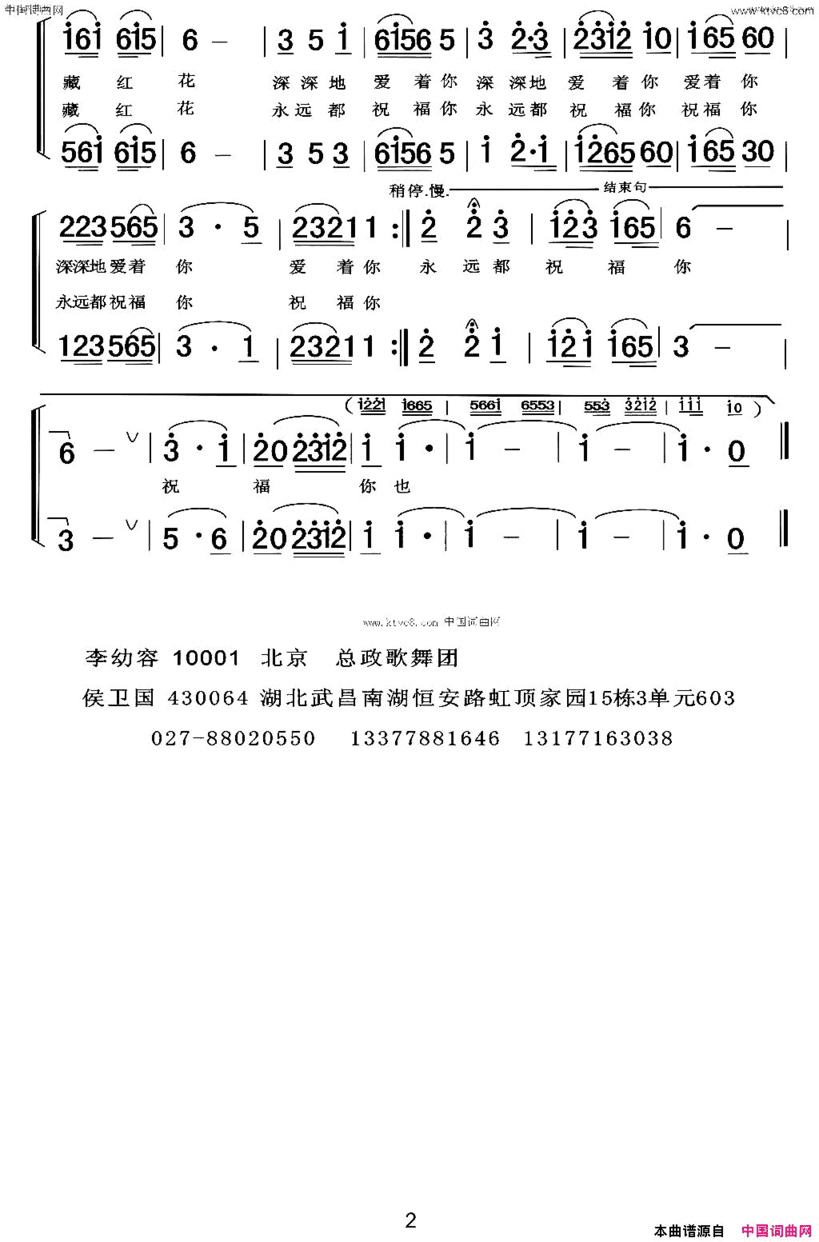 藏红花说我爱你男女声二重唱简谱