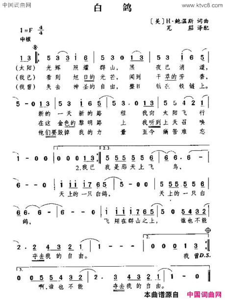 [美]白鸽简谱