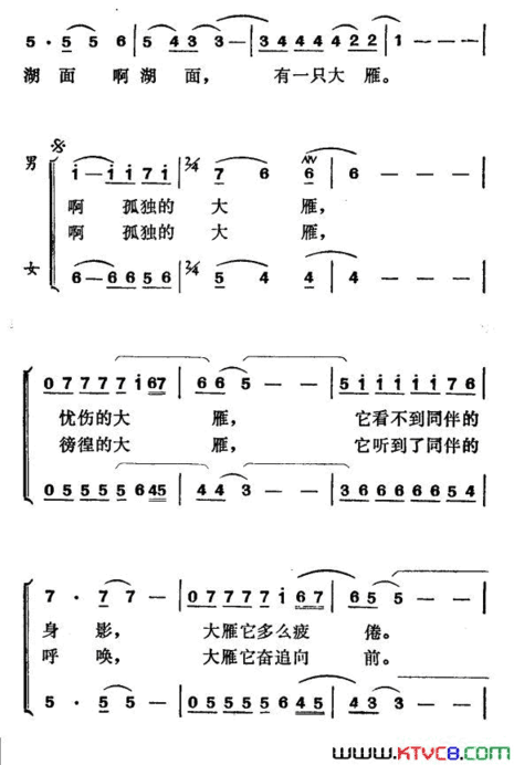 孤独的大雁电影《街市流行曲》插曲简谱