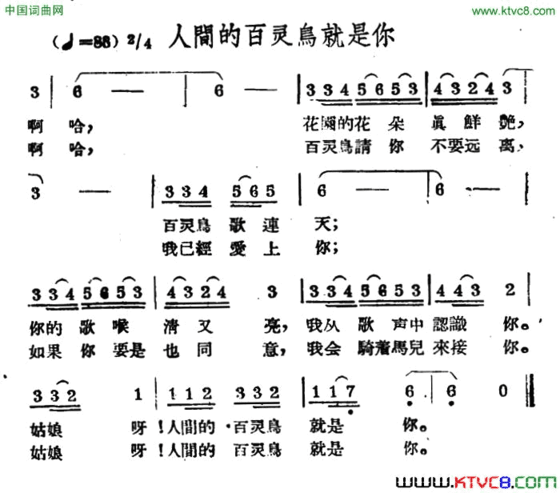 人间的百灵鸟就是你哈萨克民歌简谱