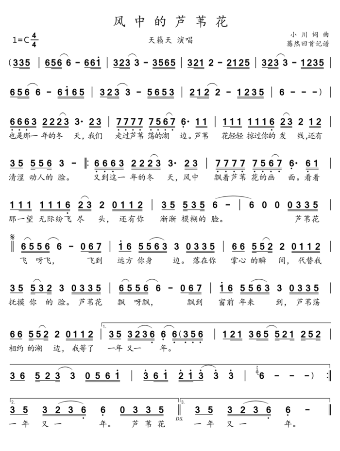 歌曲风中的芦苇花的简谱歌谱下载